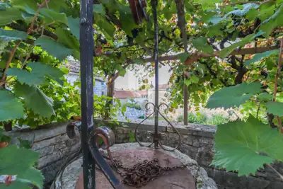 Rovinj, surroundings, stone complex with potential - 2