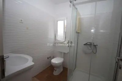House 280 m², Labin - 1,840 m² of land and two residential units - 14