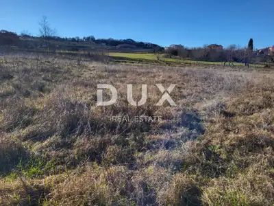 Poljoprivredno zemljište 3.213 m², Motovun - pogled na Motovun - 2