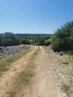 Maslinik, Krk - Meerblick und Košljun - 3