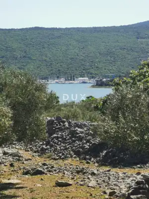 Maslinik, Krk - Meerblick und Košljun - 7