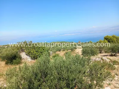 Poljoprivredno zemljište 4.200 m², Otok Brač, pogled na more - 2