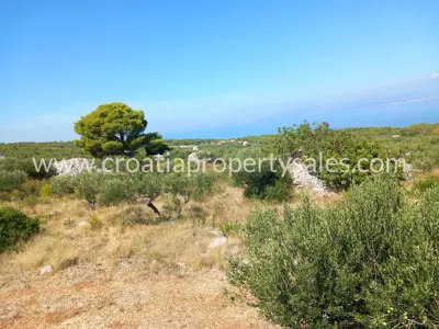 Poljoprivredno zemljište 4.200 m², Otok Brač, pogled na more - 3
