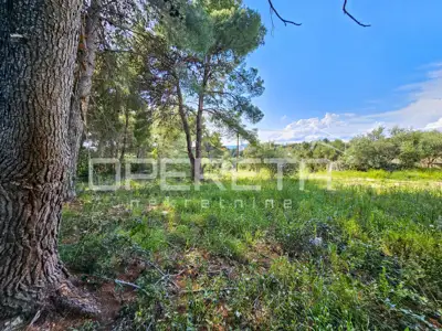 Baugrundstück 1.274 m², Milna auf Brač, 100 m vom Meer - 18