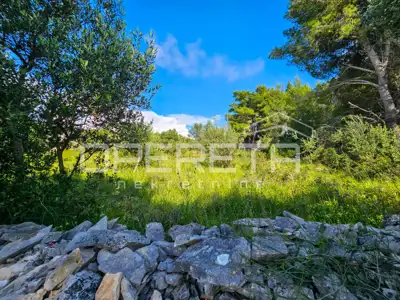 Baugrundstück 1.274 m², Milna auf Brač, 100 m vom Meer - 6