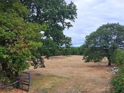 Građevinsko zemljište 7 000 m², Mrgani, blizina vode i struje - 3