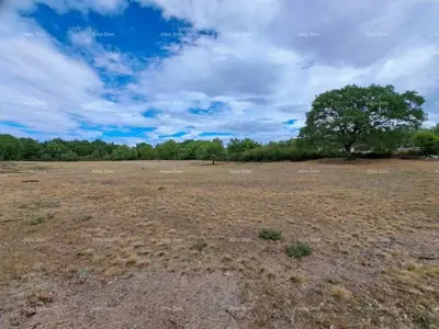 Građevinsko zemljište 7 000 m², Mrgani, blizina vode i struje - 4