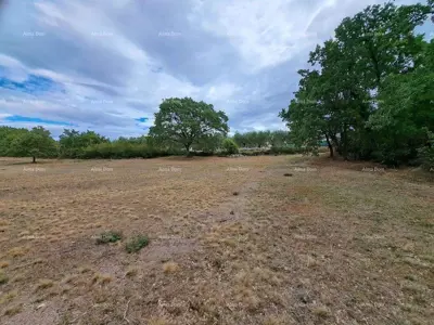 Građevinsko zemljište 7 000 m², Mrgani, blizina vode i struje - 2