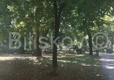 Stan 42 m², Donji grad, blizu Križanićeve gimnazije - 8