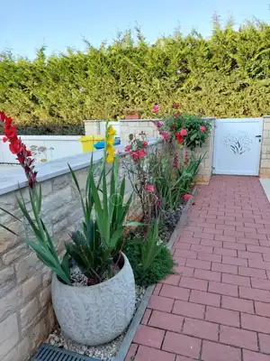 Kuća 92 m², Novigrad - mirna lokacija blizu mora - 18