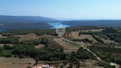 Građevinsko zemljište 893 m², Barban - 1,5 km od mora - 2