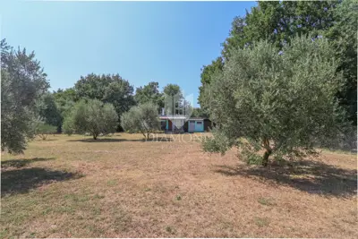 House in Loborika, peace and privacy surrounded by greenery - 11