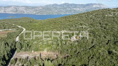 Agricultural land 9,400 m², Pupnat, Korčula, near the center - 11