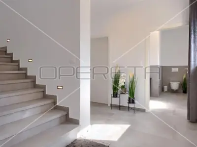 Istria, Vodnjan area, two houses + tavern, sold as a whole, quiet location - 10