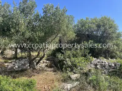 Land 7,300 m², island Hvar - proximity to the sea and privacy - 8