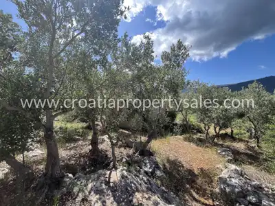 Grundstück 7.300 m², Insel Hvar - Meeresnähe und Privatsphäre