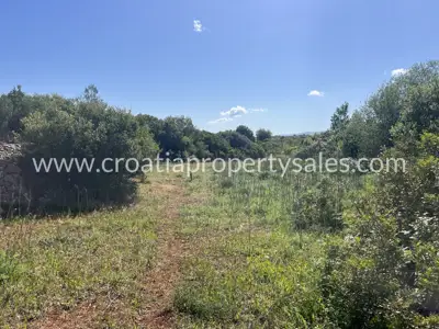 Land 7,300 m², island Hvar - proximity to the sea and privacy - 3