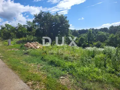 ISTRA, GROŽNJAN - Baugrundstück mit Projekt - 3