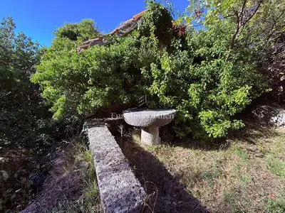 Dvije stare kamene kuće u Podgori s pogledom na more - 8