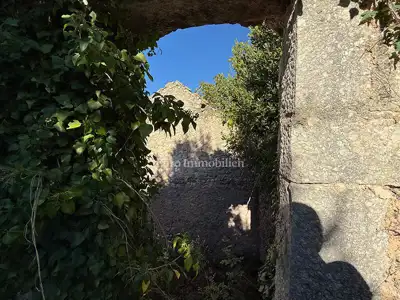 Dvije stare kamene kuće u Podgori s pogledom na more - 14