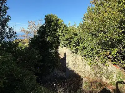 Dvije stare kamene kuće u Podgori s pogledom na more - 6