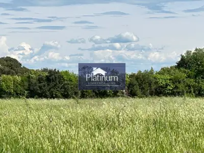 Istra, Umgebung von Šišan, mehrere schöne landwirtschaftliche Grundstücke - 2