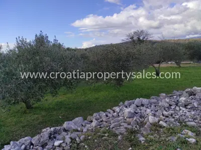 Landwirtschaftsland, Insel Hvar, ruhige Lage bei Stari grad - 6