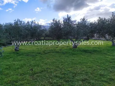 Landwirtschaftsland, Insel Hvar, ruhige Lage bei Stari grad - 2