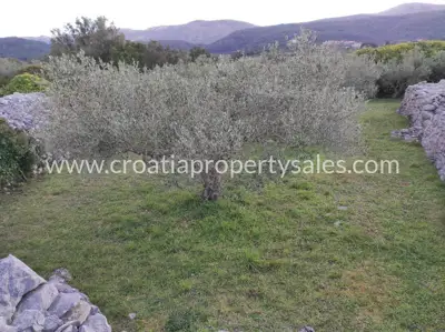 Landwirtschaftsland, Insel Hvar, ruhige Lage bei Stari grad - 7