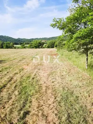 Landwirtschaftsland, Labin - an der asphaltierten Straße und Wasser am Grundstück - 3