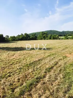 Landwirtschaftsland, Labin - an der asphaltierten Straße und Wasser am Grundstück