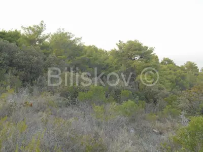 Poljoprivredno zemljište 7 345 m², Stomorska, otvoren pogled na more - 7