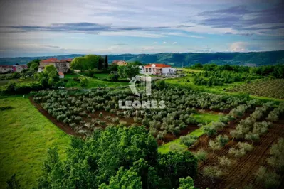 Villa 428 m², Vižinada - view of vineyards - 14