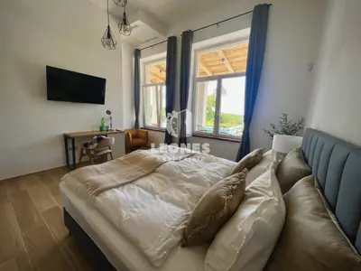 Villa 428 m², Vižinada - view of vineyards - 20