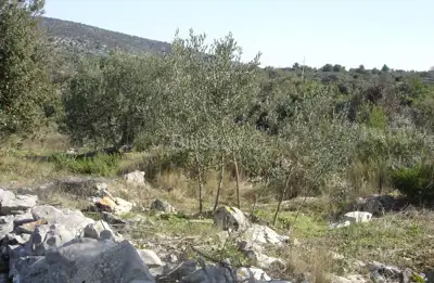 Drvenik Veliki, kuće u ruševnom stanju - 2