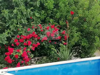 PRIDRAGA, Novigrad, Haus mit Pool 122 m² - 18