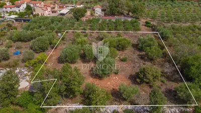 Baugrundstück 2.500 m², Buje - Blick auf die Stadt und Olivenhaine