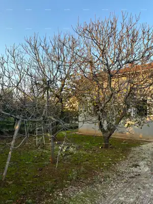 Prodaje se samostojeća kuća u Valbandonu. - 14