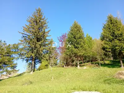 DELNICE, FUŽINE - Baugrundstück 823 m² auf einem Grundstück von 2900 m² - 6
