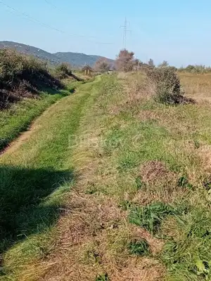 Verkauf, Sv Filip i Jakov Donje Raštane, Landwirtschaftliches Grundstück - 3