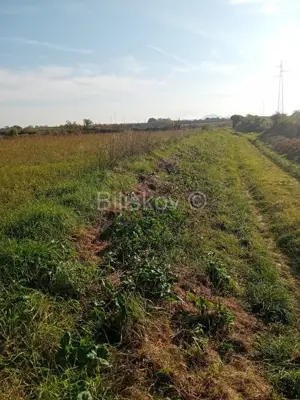 Verkauf, Sv Filip i Jakov Donje Raštane, Landwirtschaftliches Grundstück - 5