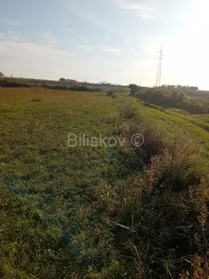 Verkauf, Sv Filip i Jakov Donje Raštane, Landwirtschaftliches Grundstück - 2