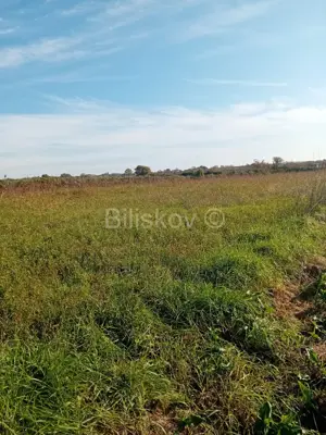 Verkauf, Sv Filip i Jakov Donje Raštane, Landwirtschaftliches Grundstück - 4