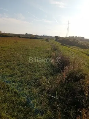 Sveti Filip i Jakov, Donje Raštane, poljoprivredno zemljište - 2