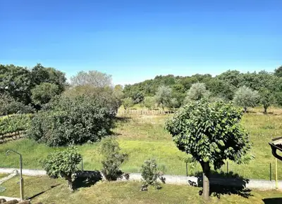 Haus zum Kauf in Sveti Lovreč, 140 m² - 12
