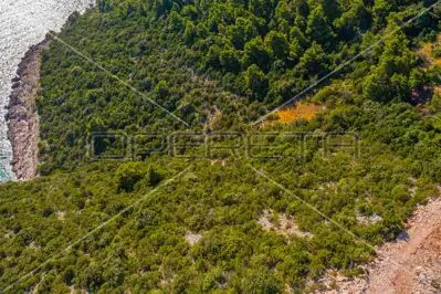 Agricultural land 40 000 m², Potomje, Pelješac and sea view - 5