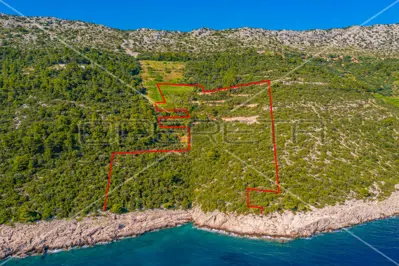 Poljoprivredno zemljište 40 000 m², Potomje, Pelješac i pogled na more