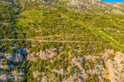 Agricultural land 40 000 m², Potomje, Pelješac and sea view - 8