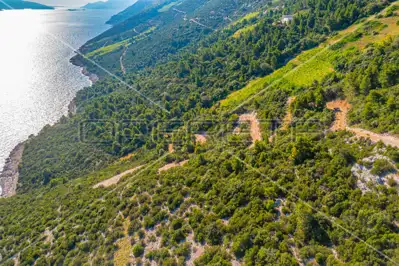 Agricultural land 40 000 m², Potomje, Pelješac and sea view - 6