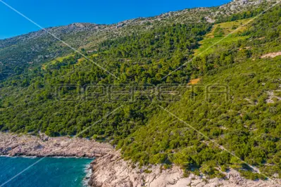 Agricultural land 40 000 m², Potomje, Pelješac and sea view - 4